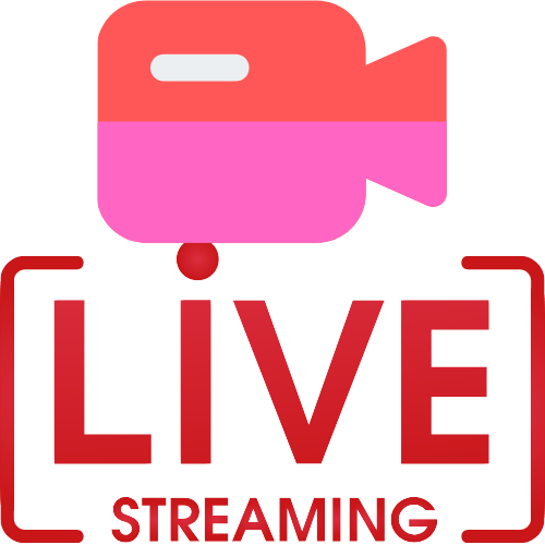 Stripchat Company